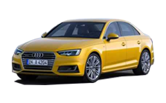 S4 III (B8)