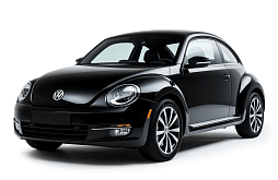 Beetle A4