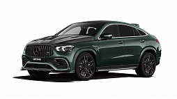 AMG GT 43/53 (X290)
